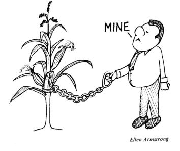 A cartoon image depicting a business looking man holding a chain connected to a growing corn plant. The man is stating "Mine" Illustrated by Ellen Armstrong